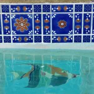 real project gallery by city for pool tile cleaning